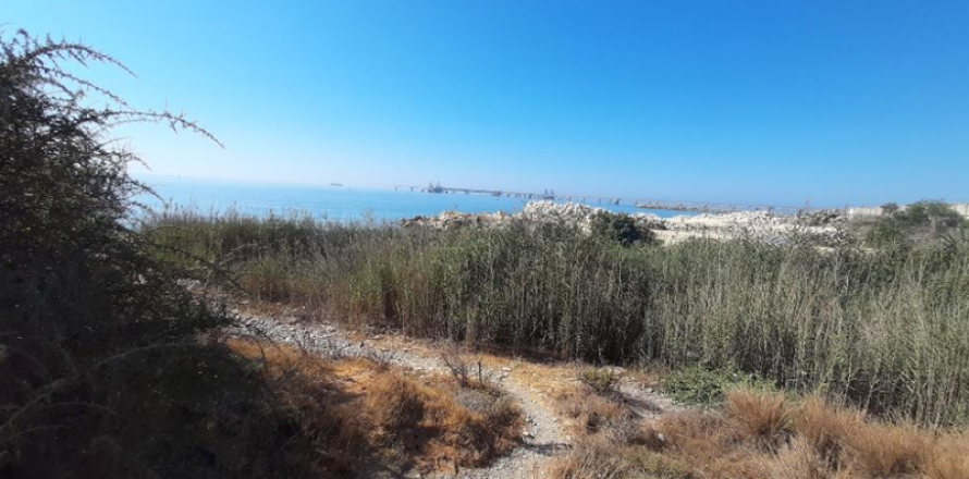 26133m² Land en Larnaca, Cyprus No. 72286