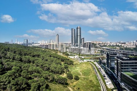 1+1 Appartement à Istanbul, Turkey No. 11247 7