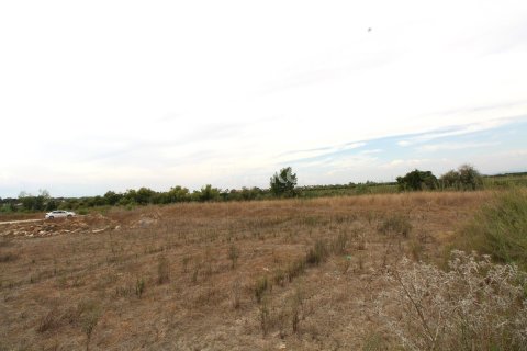 889m² Land in Belek, Turkey No. 61906 4