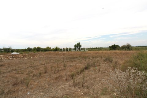 889m² Land in Belek, Turkey No. 61906 5