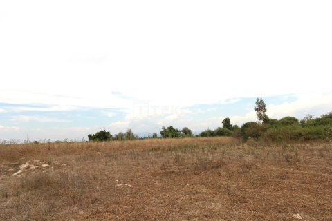 889m² Land in Belek, Turkey No. 61906 2