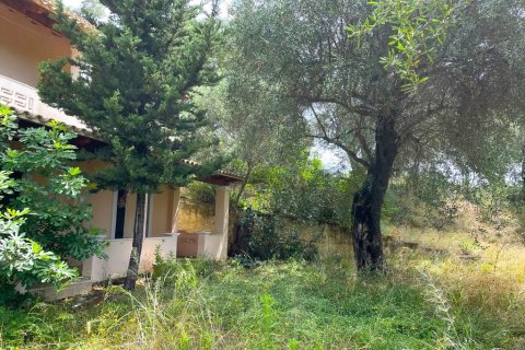 11 bedrooms Hotel in Corfu, Greece No. 54516 8