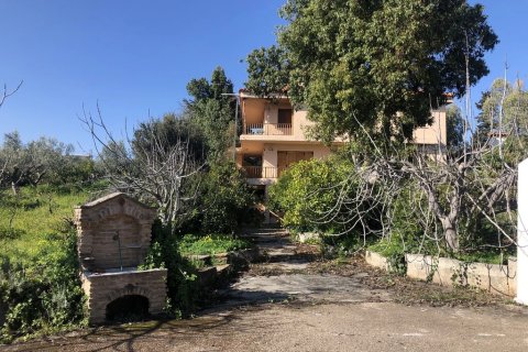 3 chambres House à Euboea, Greece No. 54961 10