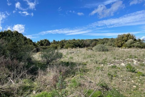 10000m² Land in Vamos, Greece No. 54963 3