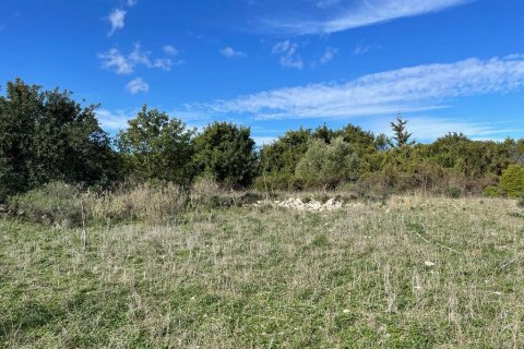 10000m² Land in Vamos, Greece No. 54963 5