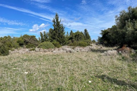 10000m² Land in Vamos, Greece No. 54963 4