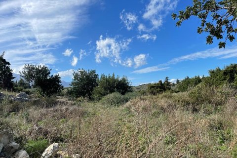 10000m² Land in Vamos, Greece No. 54963 7