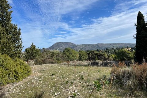 10000m² Land in Vamos, Greece No. 54963 6