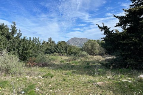 10000m² Land in Vamos, Greece No. 54963 2