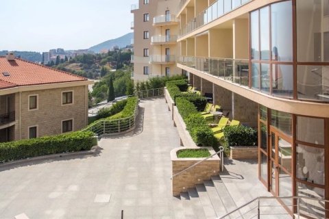 48m² Apartment in Budva, Montenegro No. 66809 20