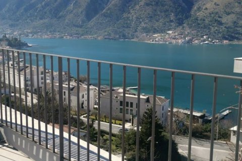 4 chambres Appartement à Kotor, Montenegro No. 66805 14