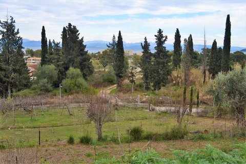 21000m² Land à Corfu, Greece No. 57594 9