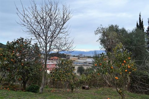 21000m² Land in Corfu, Greece No. 57594 7