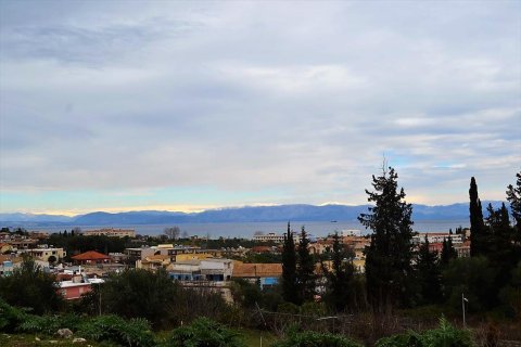 21000m² Land en Corfu, Greece No. 57594 20