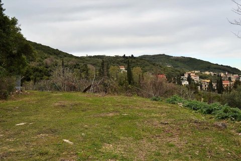 21000m² Land in Corfu, Greece No. 57594 10