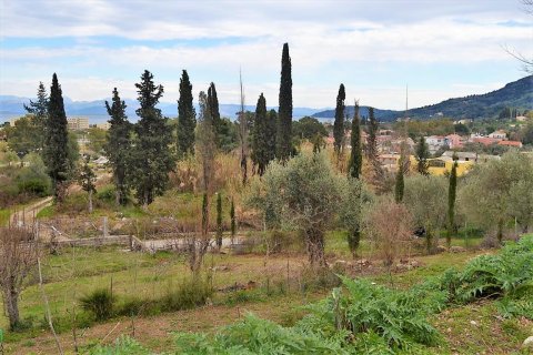 21000m² Land en Corfu, Greece No. 57594 8