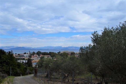 21000m² Land in Corfu, Greece No. 57594 5