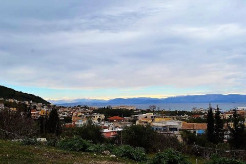 21000m² Land in Corfu, Greece No. 57594 2