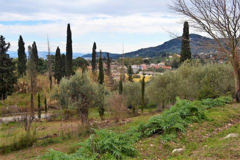 21000m² Land in Corfu, Greece No. 57594 6