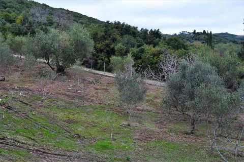 21000m² Land in Corfu, Greece No. 57594 16