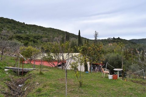 21000m² Land in Corfu, Greece No. 57594 12