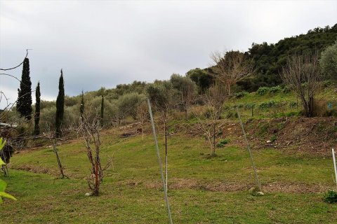 21000m² Land en Corfu, Greece No. 57594 11