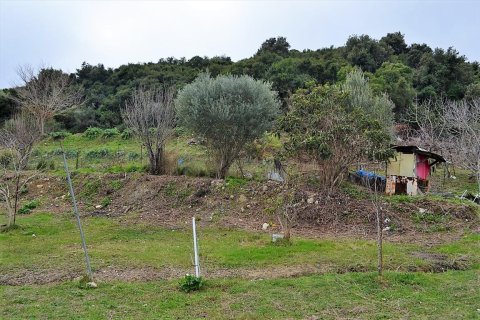 21000m² Land en Corfu, Greece No. 57594 14