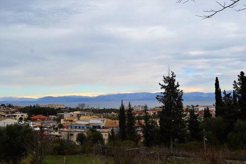 21000m² Land en Corfu, Greece No. 57594 3