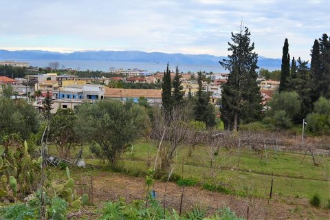 21000m² Land en Corfu, Greece No. 57594 17