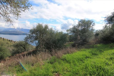 5000m² Land in Corfu, Greece No. 57596 2