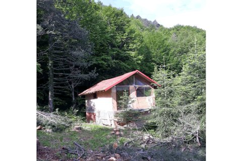 6890m² Land en Katerini, Greece No. 57484 4