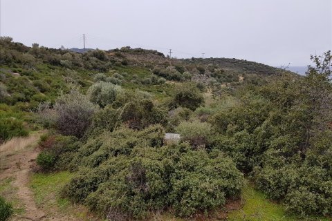 12500m² Land in Chalkidiki, Greece No. 57597 8