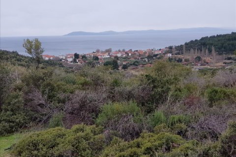 12500m² Land in Chalkidiki, Greece No. 57597 1