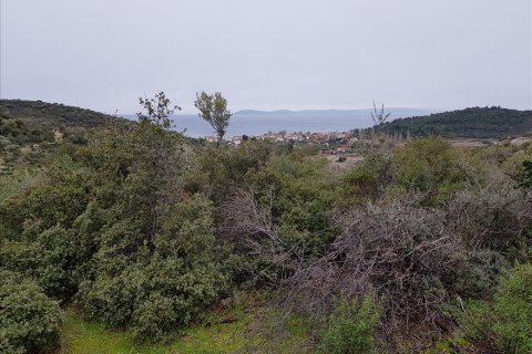 12500m² Land in Chalkidiki, Greece No. 57597 7