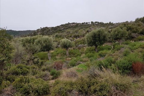 12500m² Land en Chalkidiki, Greece No. 57597 10