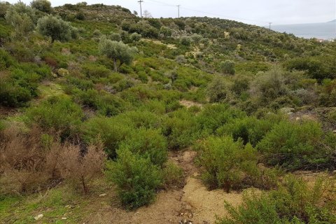 12500m² Land in Chalkidiki, Greece No. 57597 5