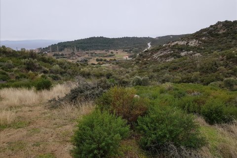 12500m² Land en Chalkidiki, Greece No. 57597 4