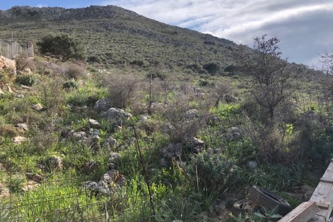 18000m² Land in Vamos, Greece No. 57613 1