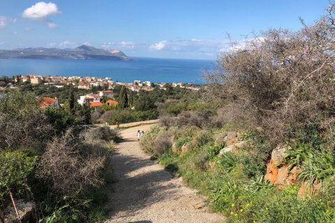 18000m² Land in Vamos, Greece No. 57613 4