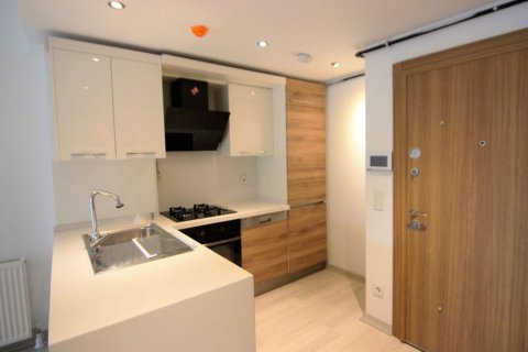 2+1 Apartment in Istanbul, Turkey No. 15527 1