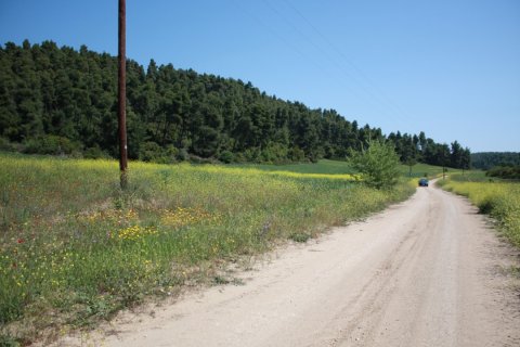 18000m² Land à Chalkidiki, Greece No. 58793 3