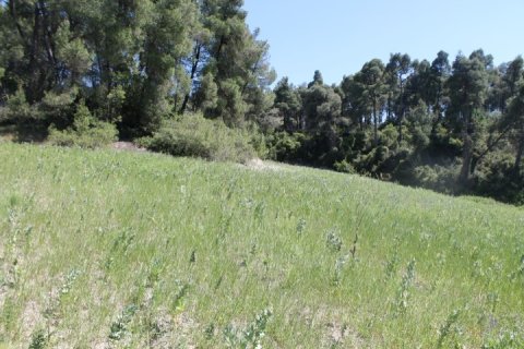 20100m² Land in Chalkidiki, Greece No. 58791 4