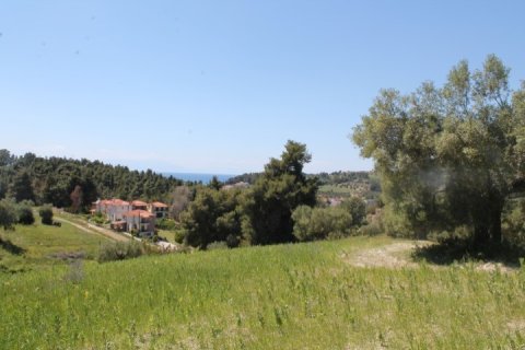 20100m² Land in Chalkidiki, Greece No. 58791 1