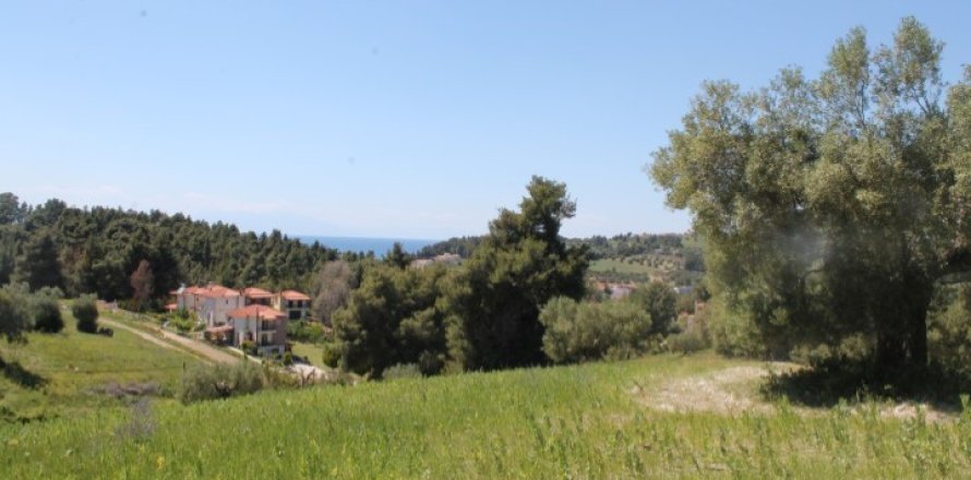 20100m² Land in Chalkidiki, Greece No. 58791