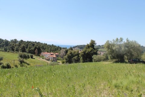 20100m² Land in Chalkidiki, Greece No. 58791 3