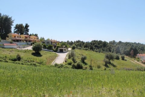 20100m² Land in Chalkidiki, Greece No. 58791 2