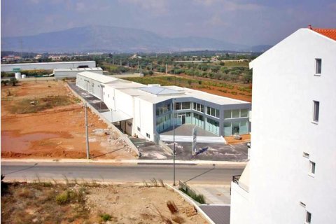 2930m² Negocio en Markopoulo Mesogaias, Greece No. 59689 6