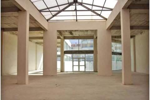 2930m² Business in Markopoulo Mesogaias, Greece No. 59689 4