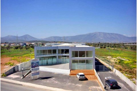 2930m² Business in Markopoulo Mesogaias, Greece No. 59689 2