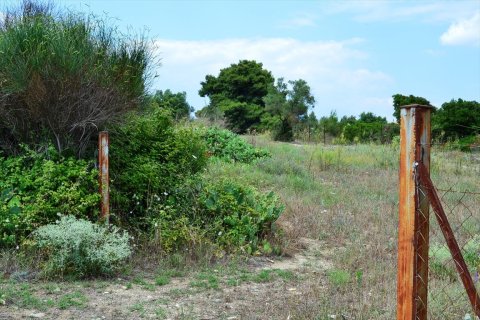 11500m² Land in Chalkidiki, Greece No. 59694 4